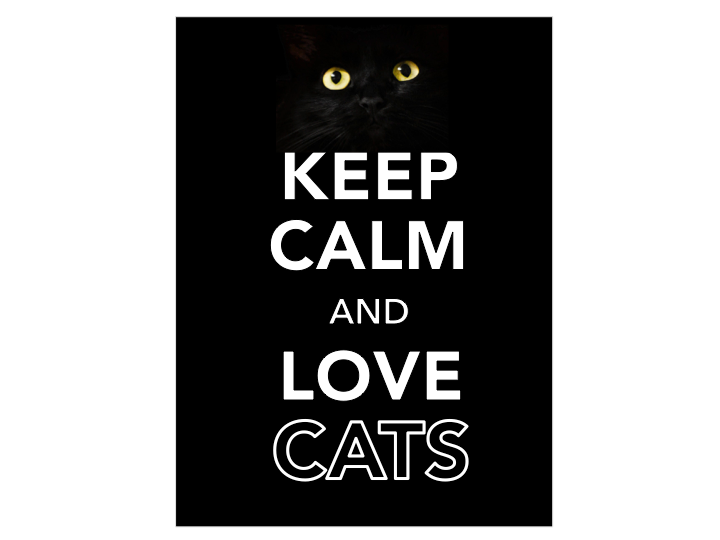 KEEP CALM and Love Cats