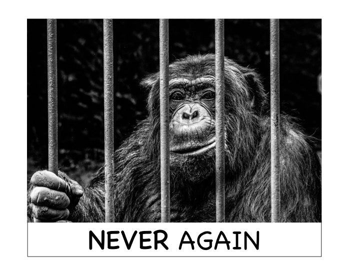 protection_of_animal_life