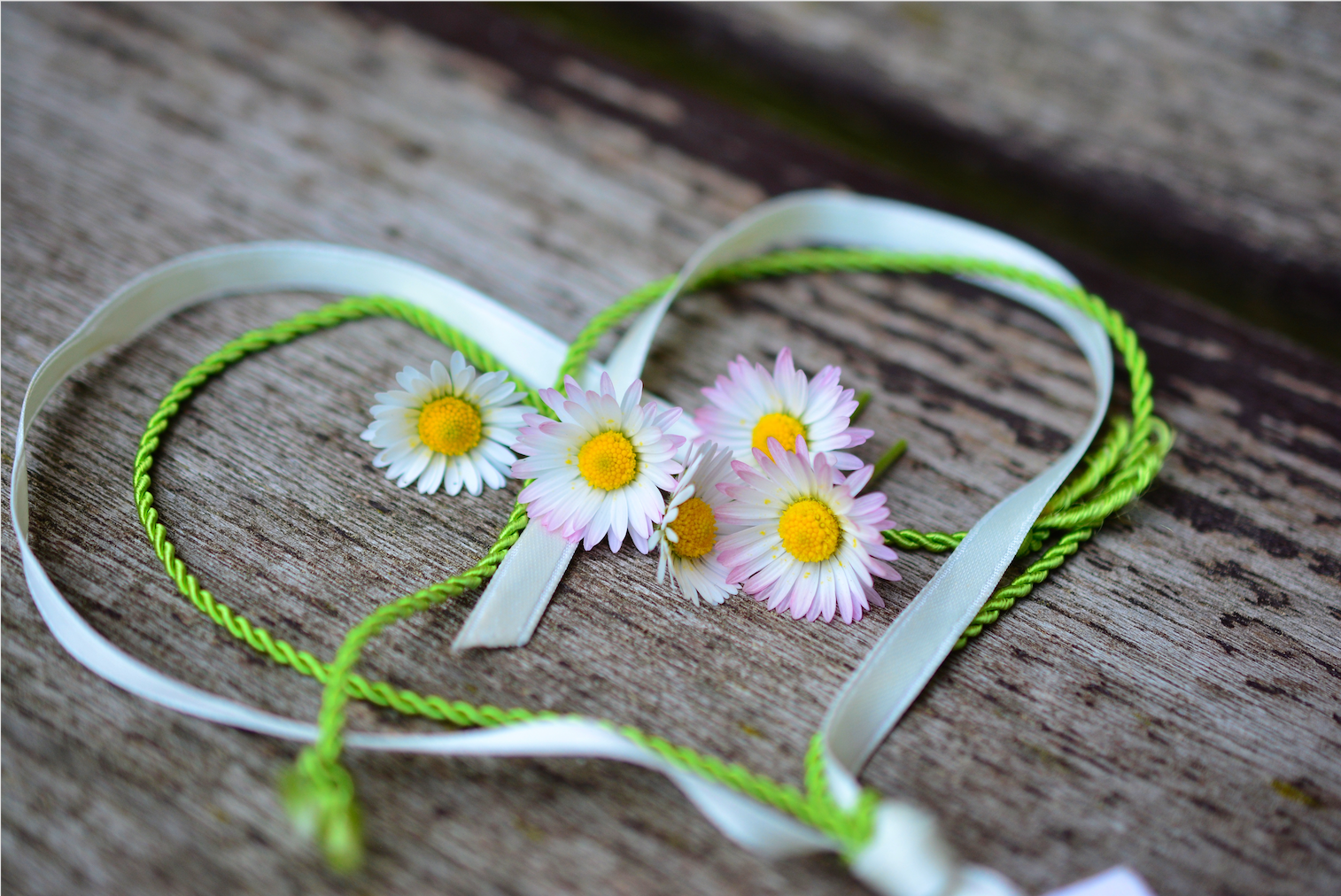 Amour-tendresse-amitié /coeurs