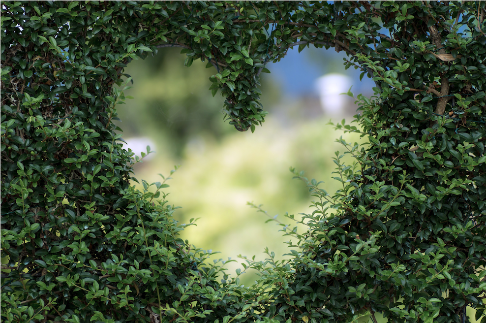 Amour-tendresse-amitié /coeurs