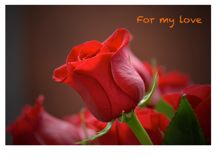 Amour-tendresse-amitié /romantique