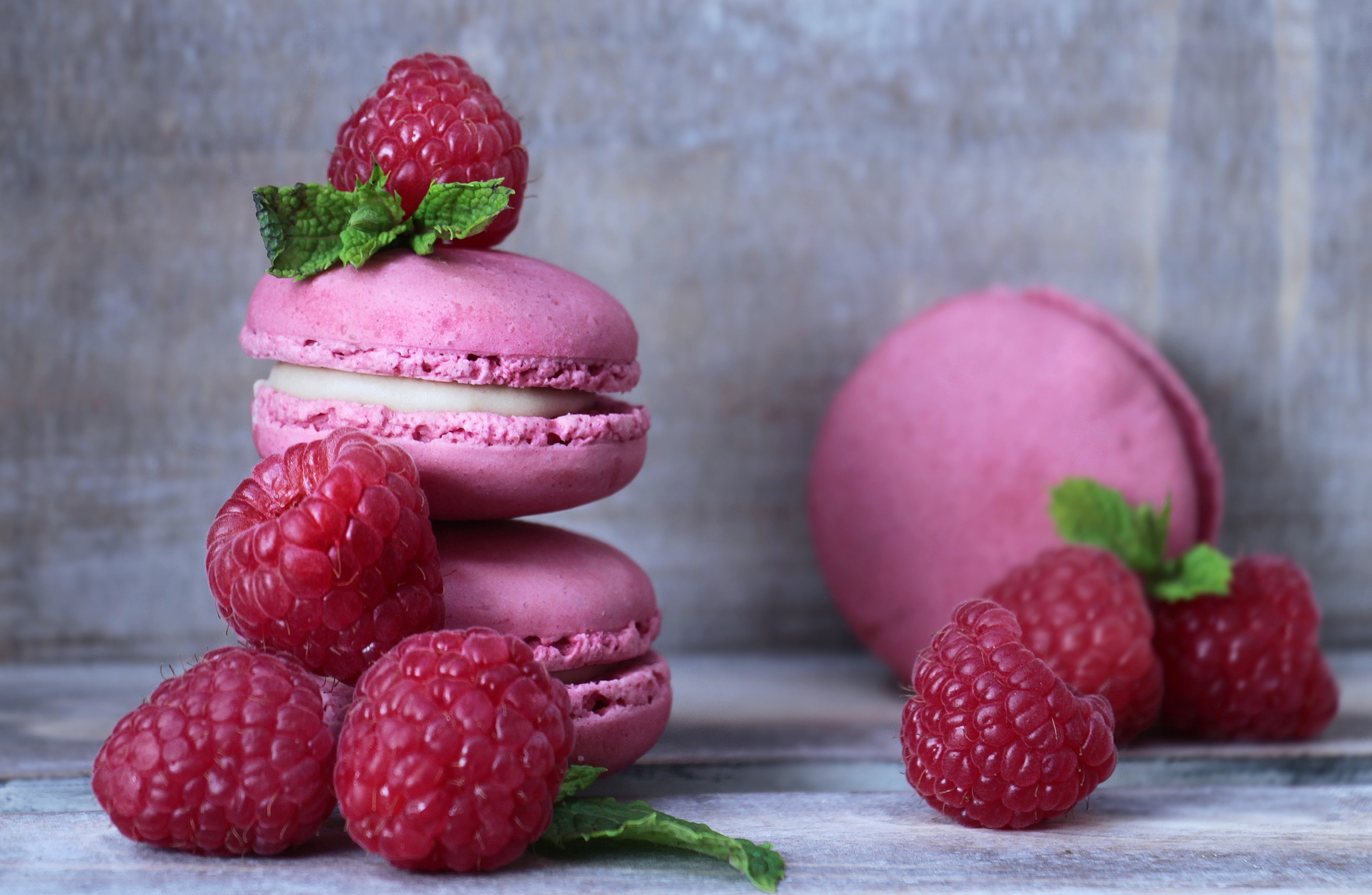 Cuisine - Nourriture / macarons