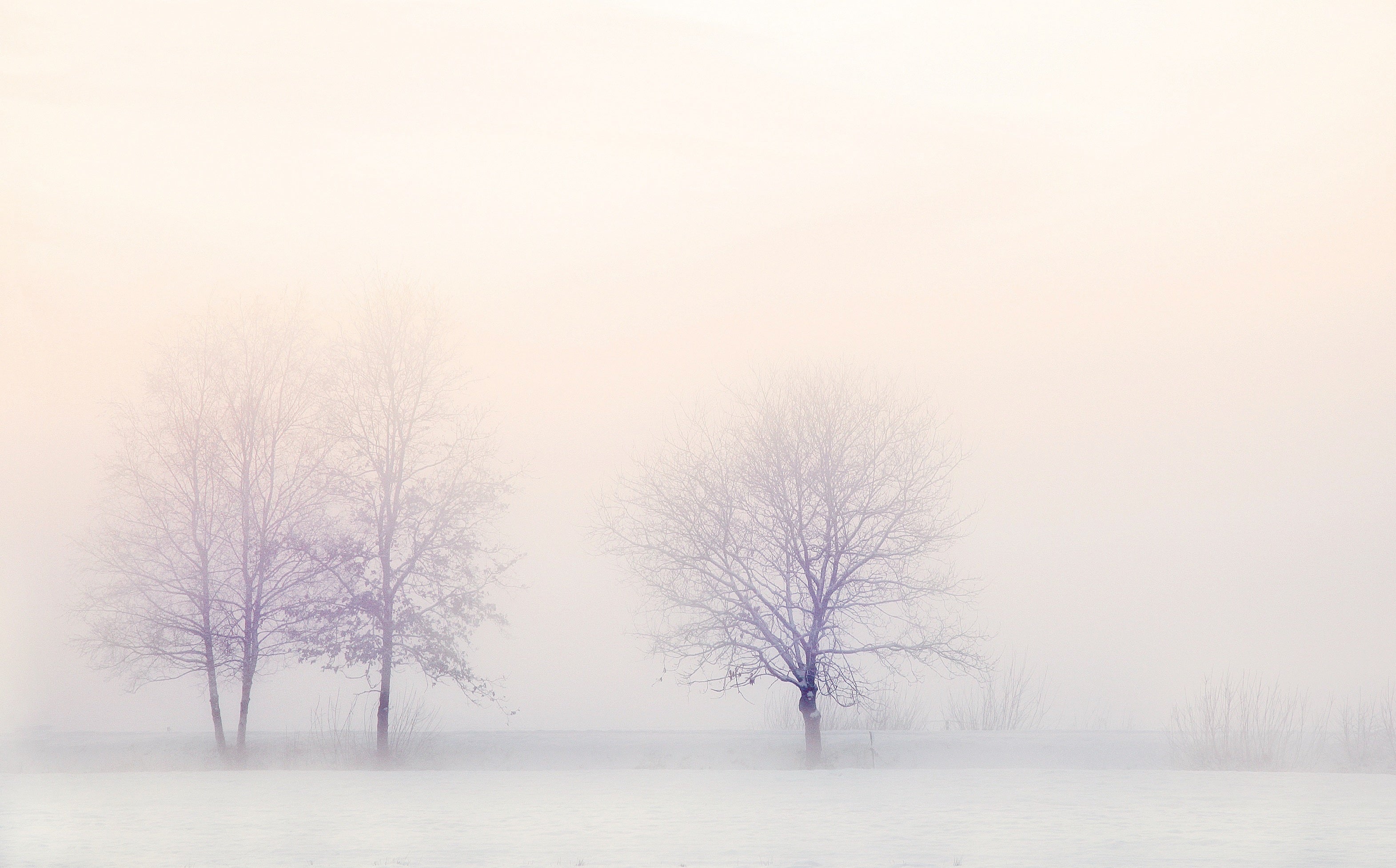 paysage - landscape/hiver