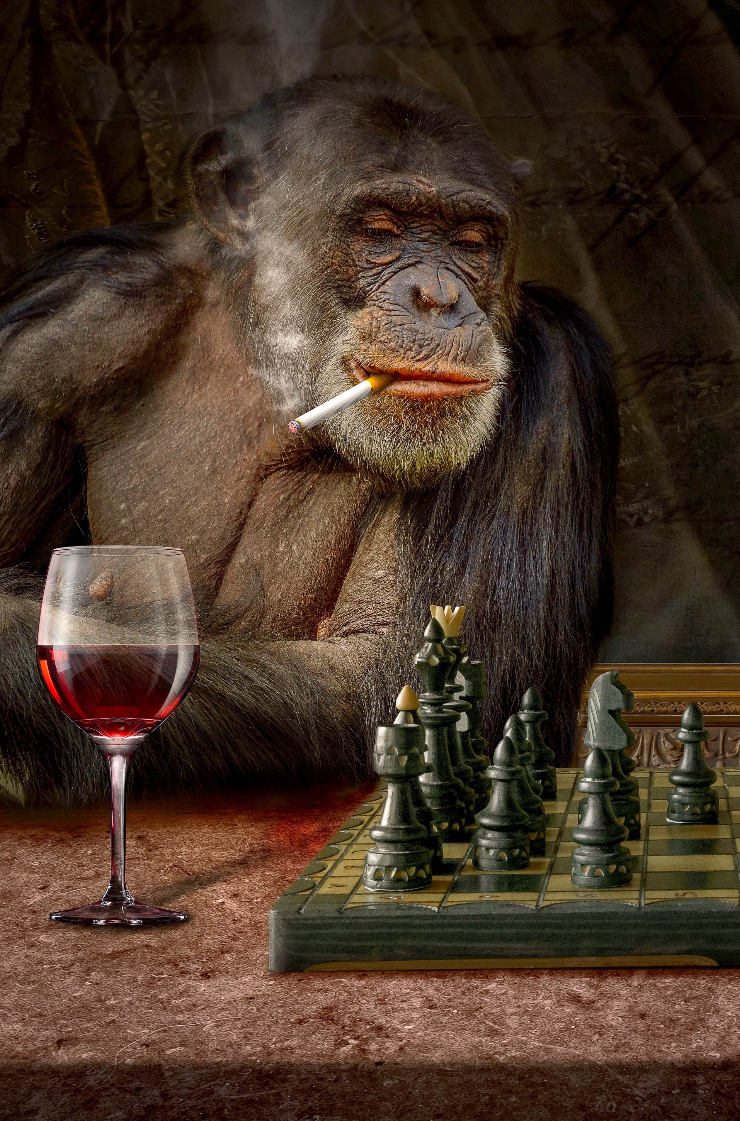 Humour - singe qui fume