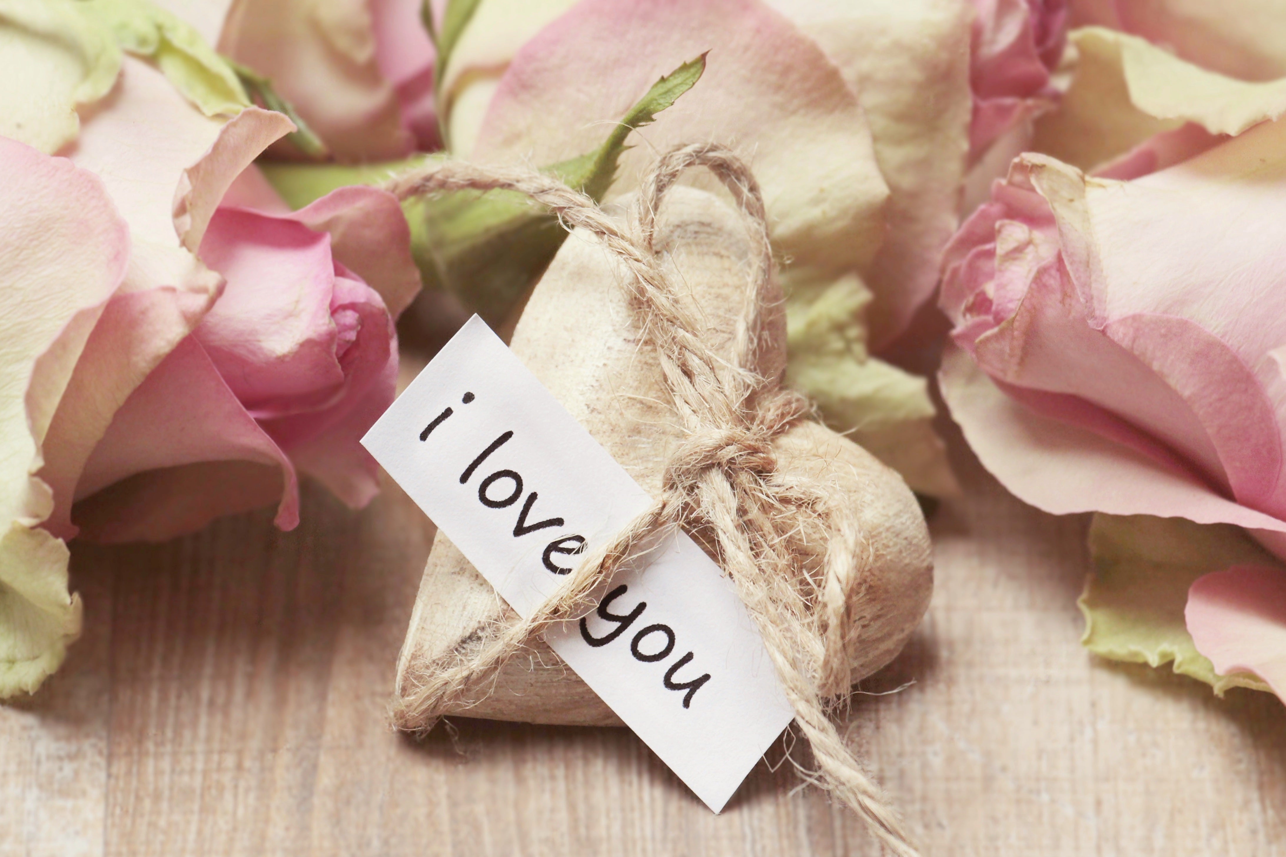 Amour-tendresse-amitié /i love you