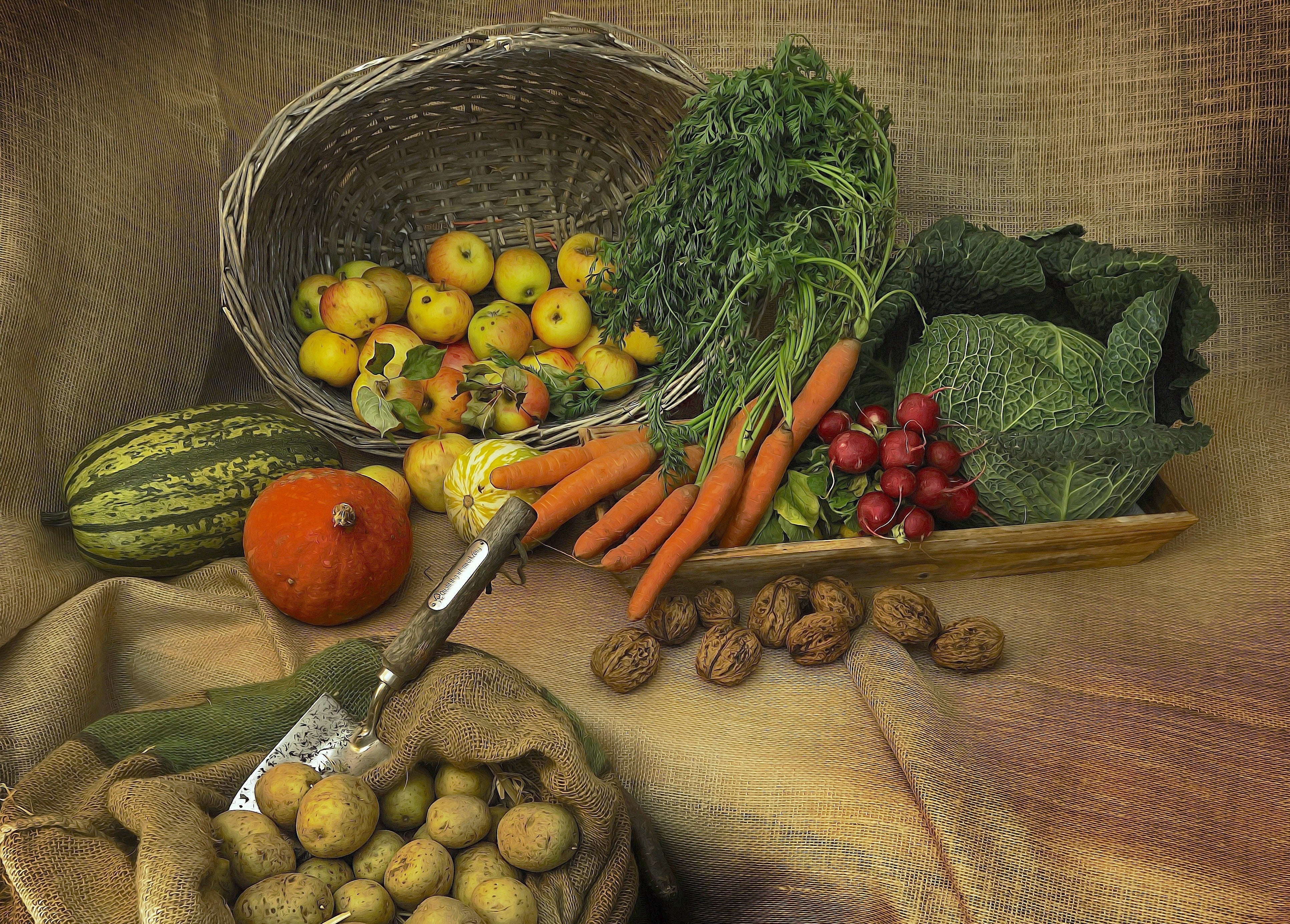 Cuisine - Nourriture / légumes d'hiver