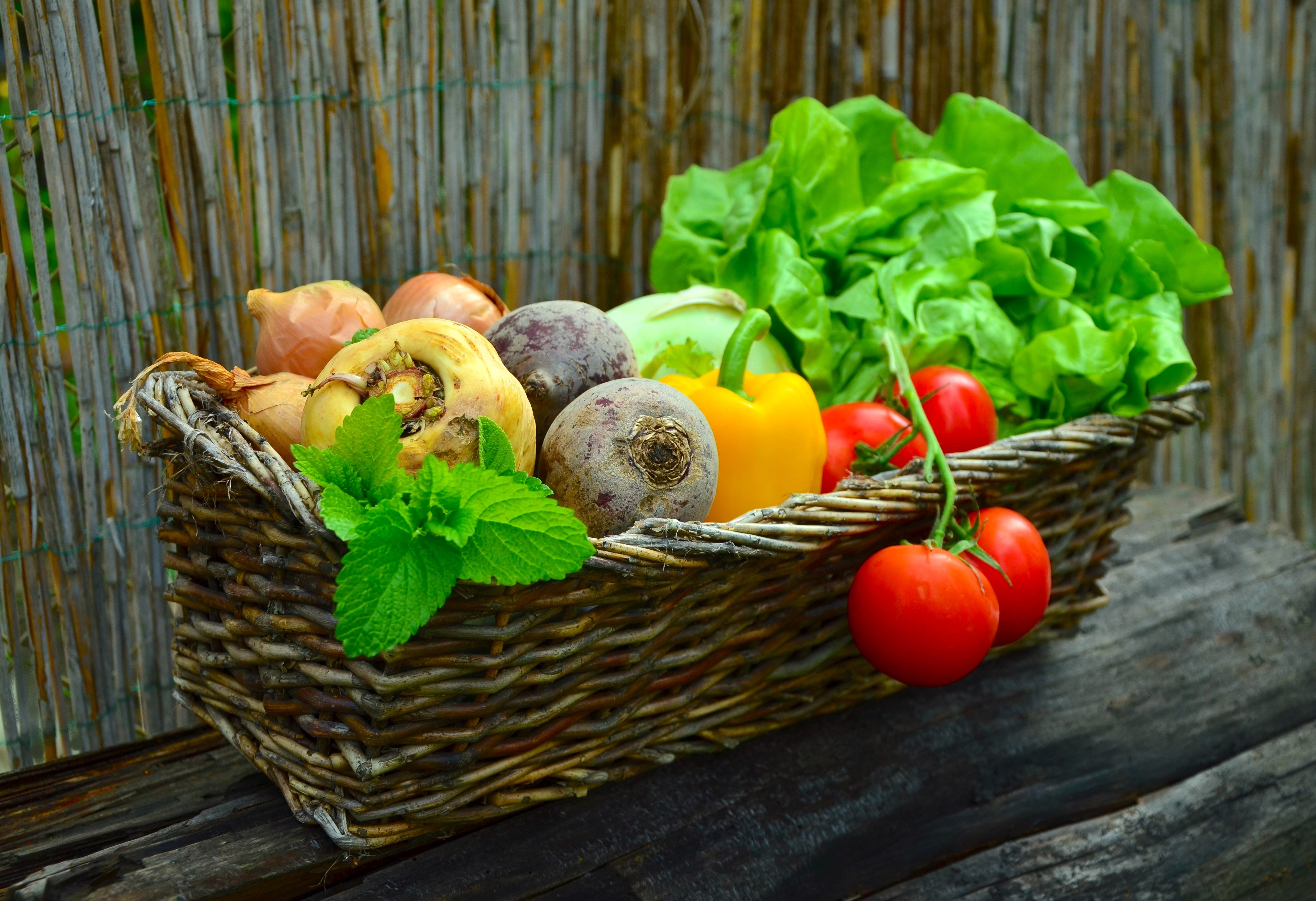 vegan-manger des légumes