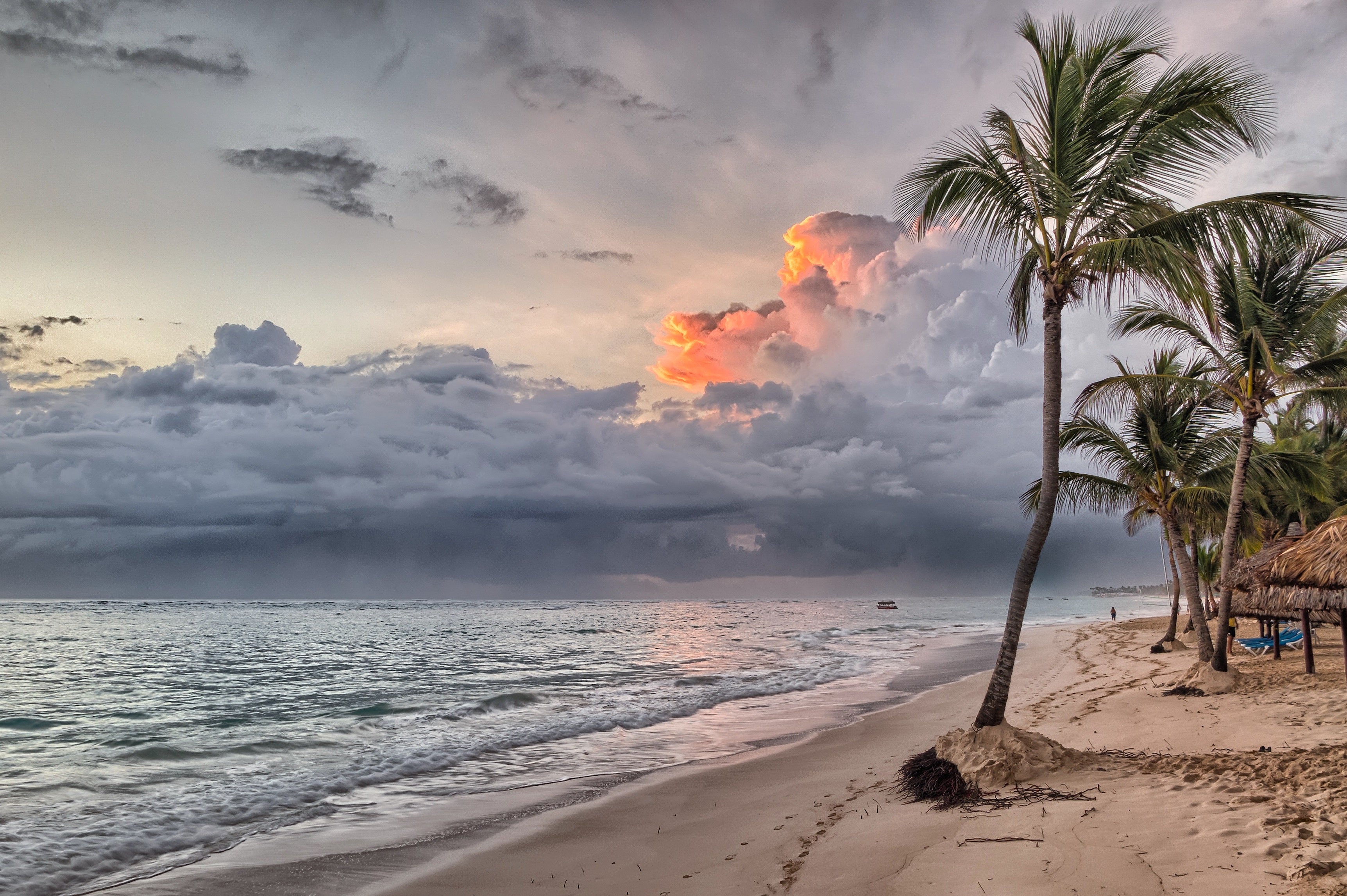 nature - plage /République Dominicaine