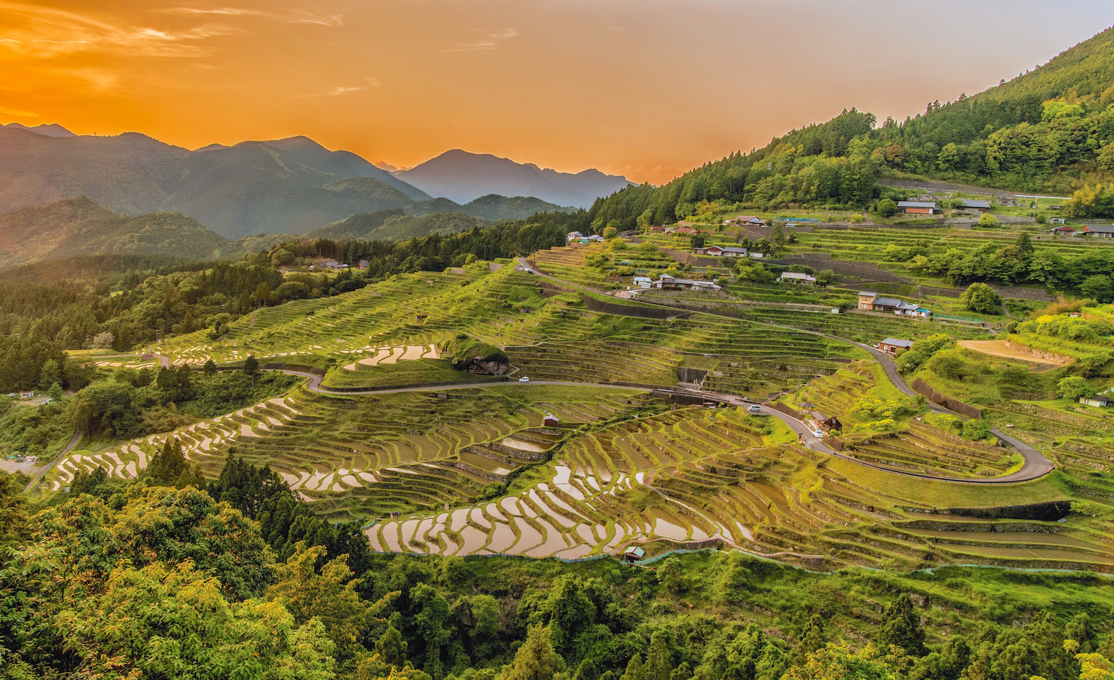 paysage - landscape/rizières