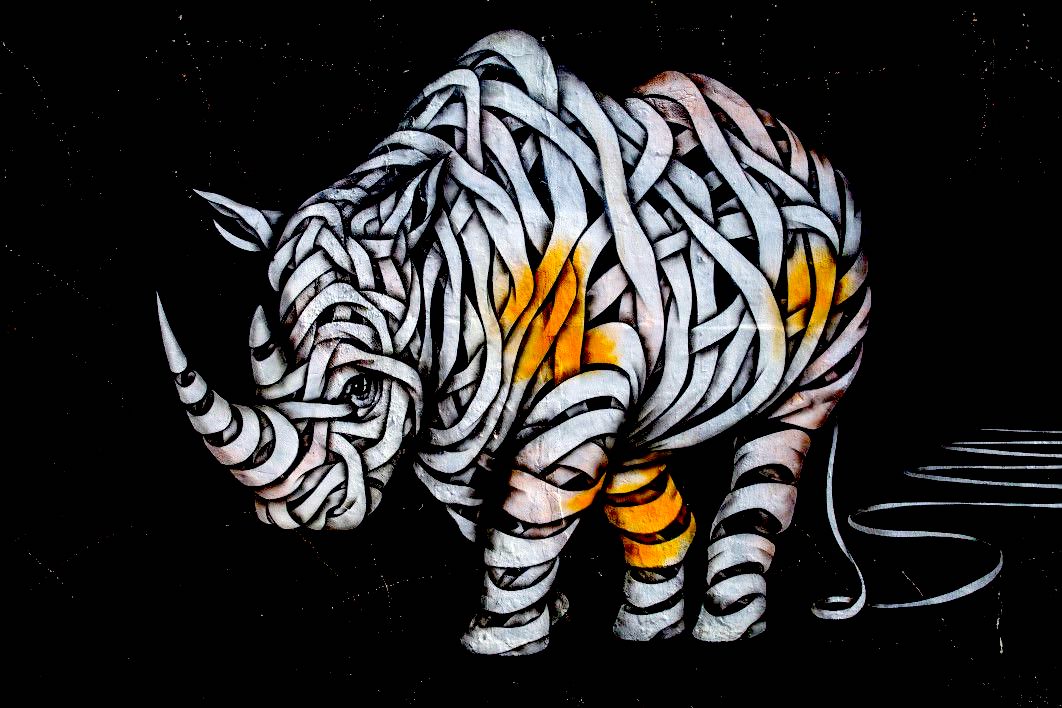 street art/graffiti wall - Rhinocéros