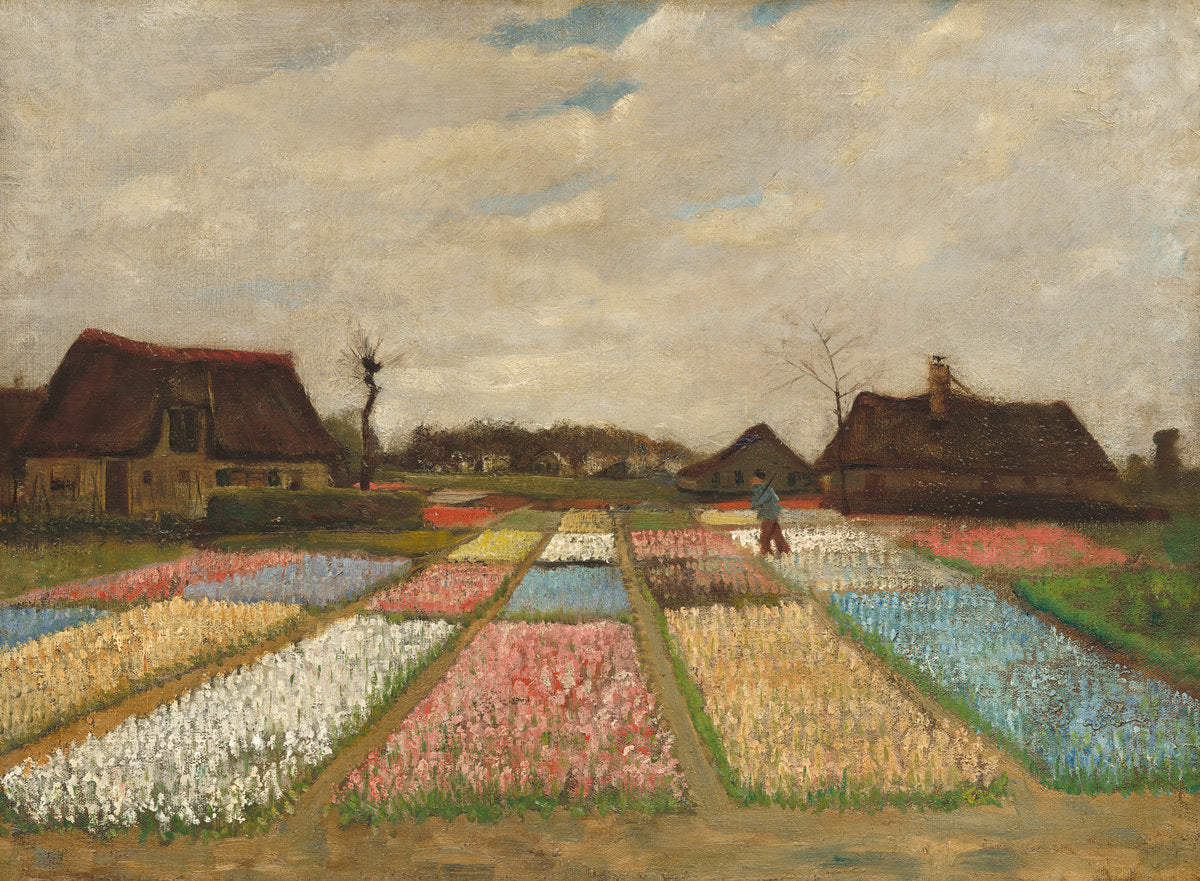 peinture-Hollandais- Van Gogh /Champs de tulipes (fleurs) en Hollande