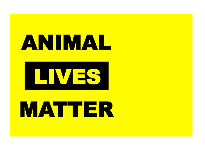vegan / Animal lives matter