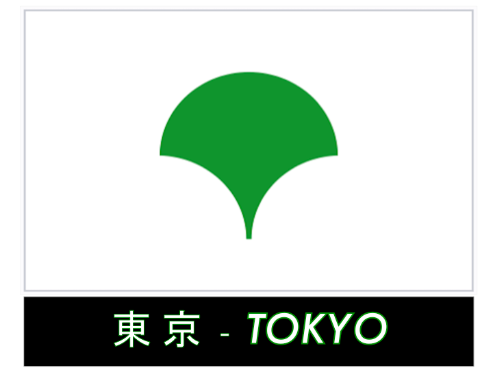 drapeau ville - Japon/日本/Japan - Tokyo 東京