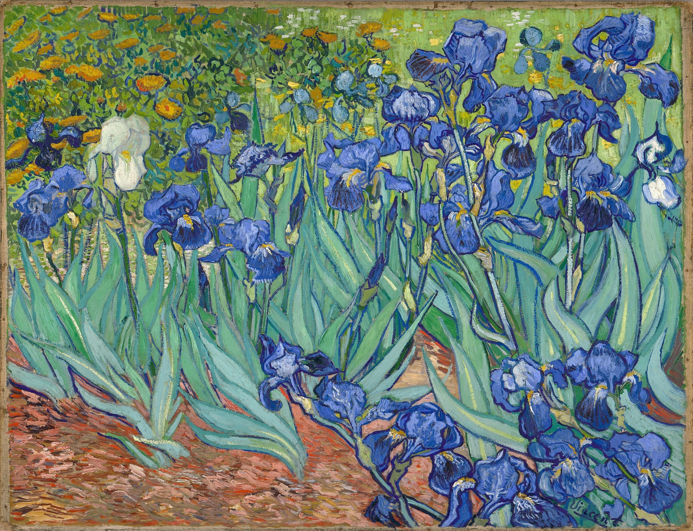 peinture-Hollandais- Van Gogh /Iris