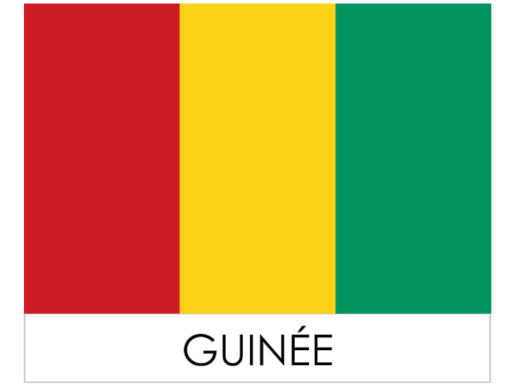 drapeau pays - Guinée / Guinea
