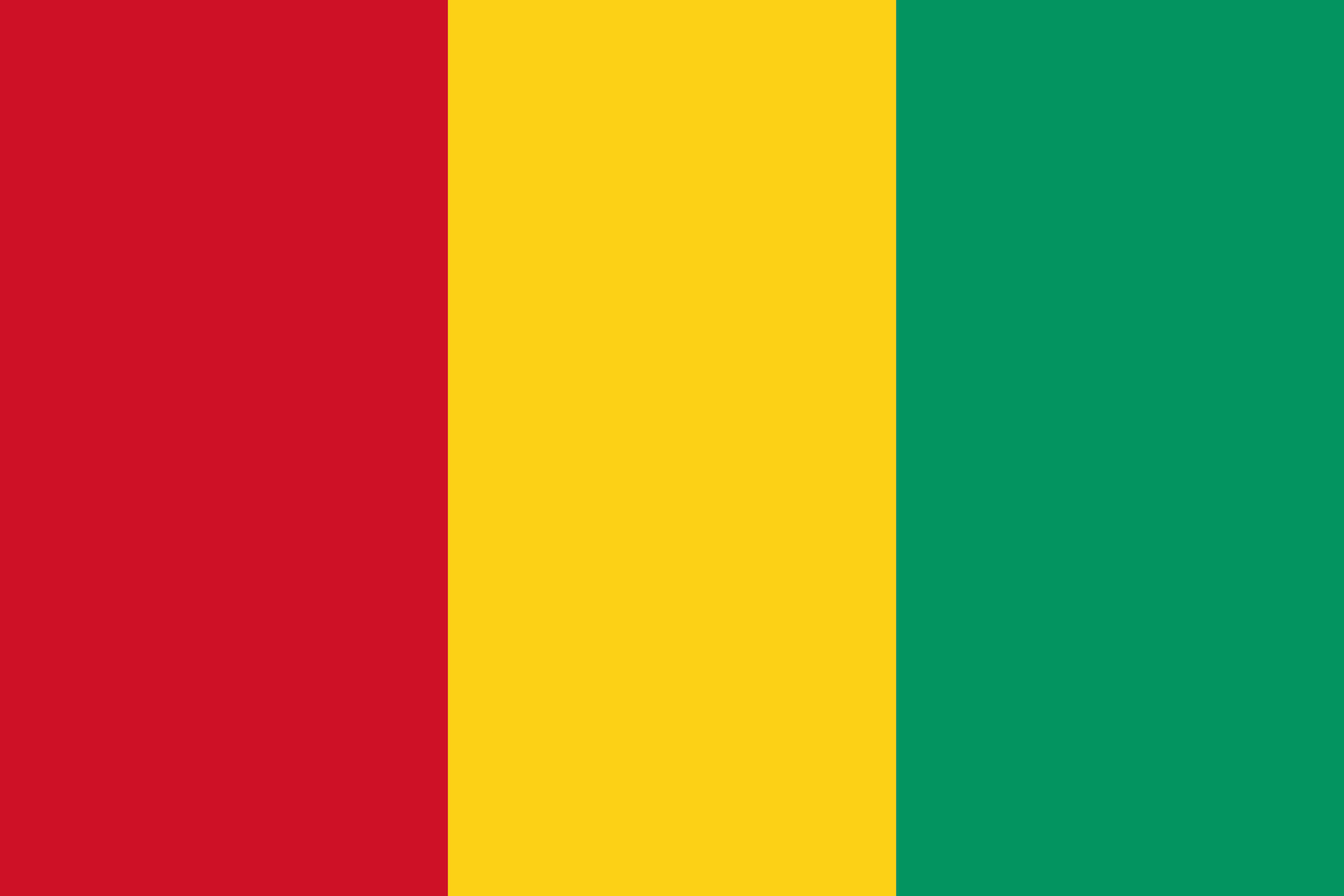 drapeau pays - Guinée / Guinea