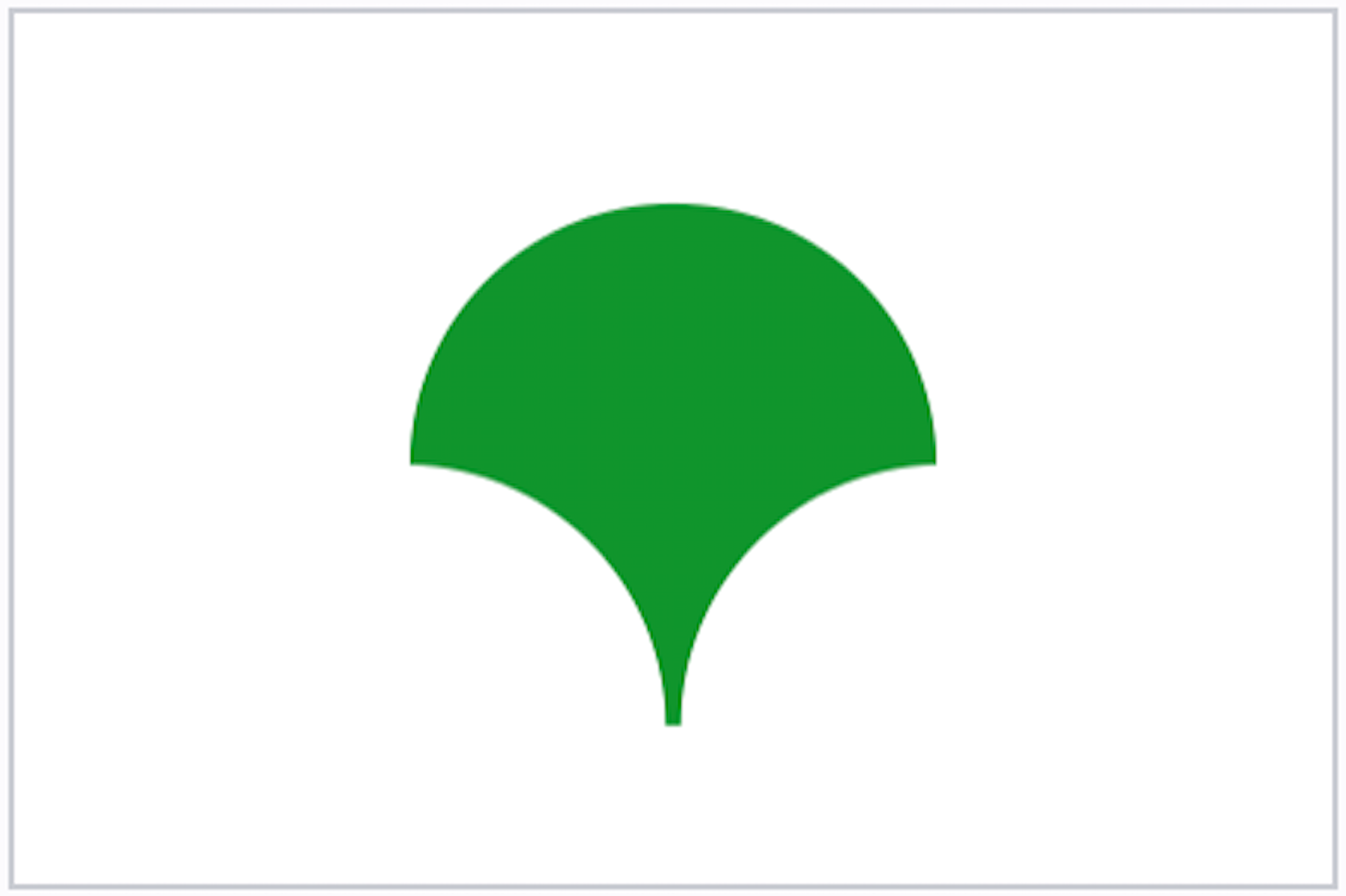 drapeau ville - Japon/日本/Japan - Tokyo 東京