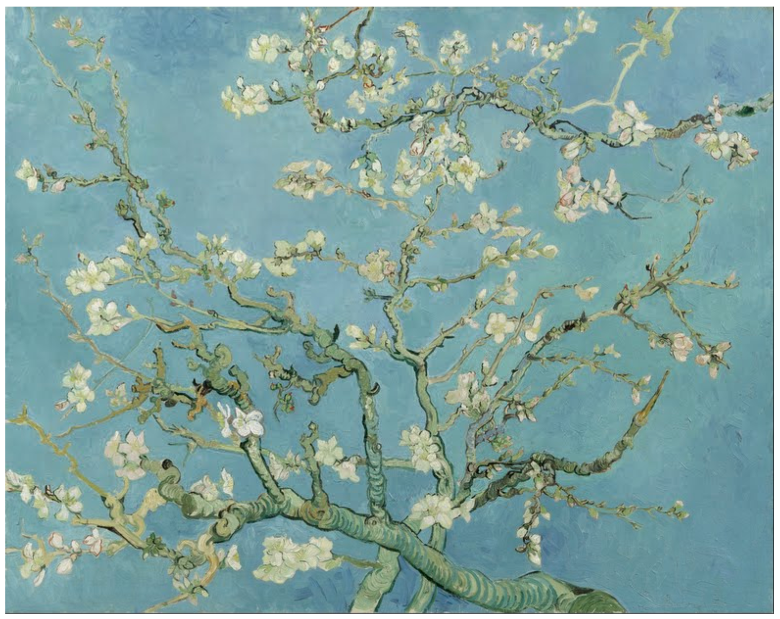 peinture-Hollandais- Van Gogh /Amandier en fleurs
