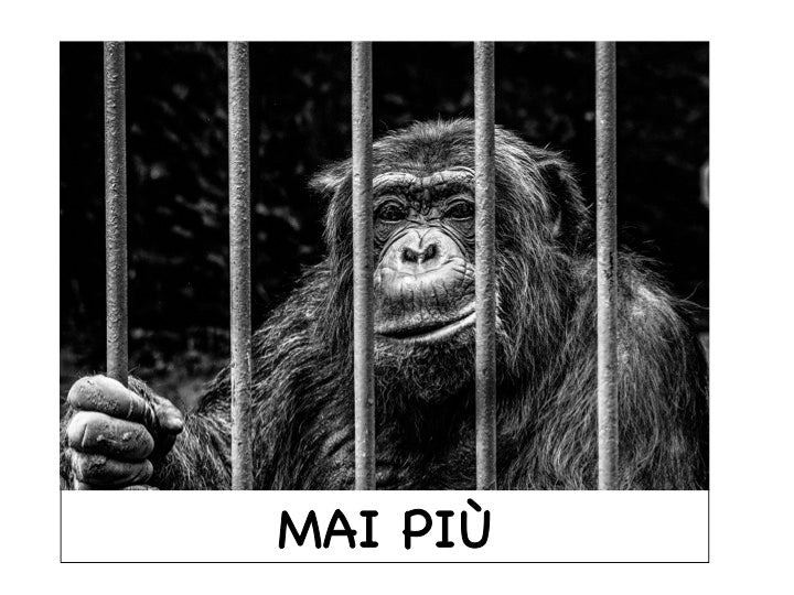 protezione_degli_animali