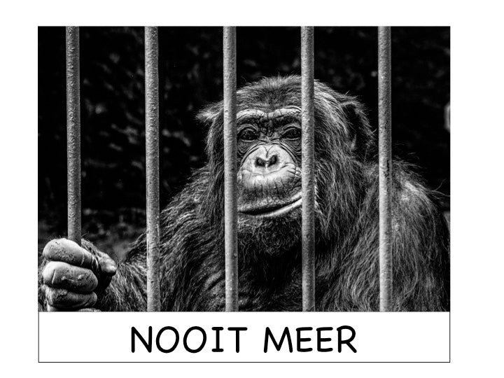 dierenbescherming