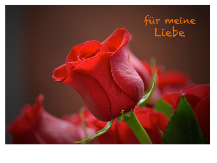 Love-tenderness-friendship/romantic