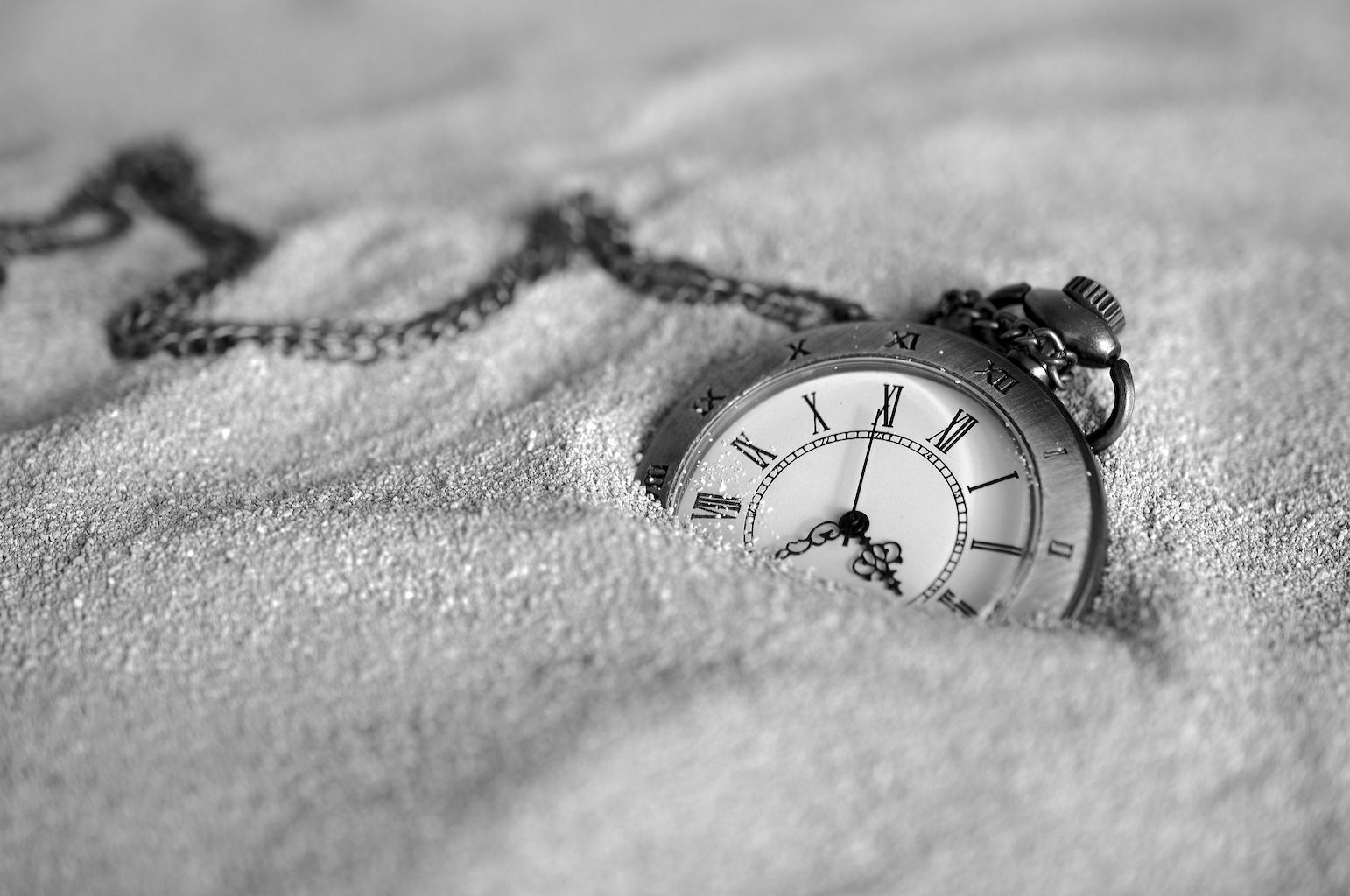 divers -montres