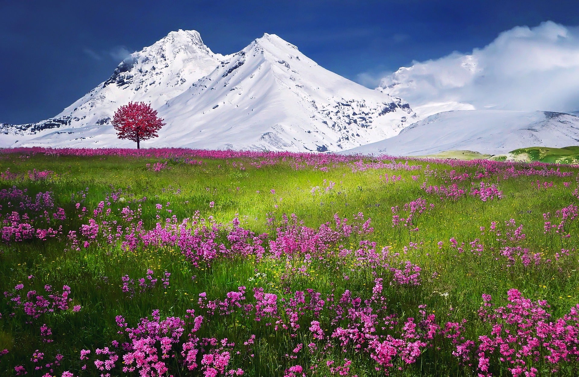 paysage - montagne
