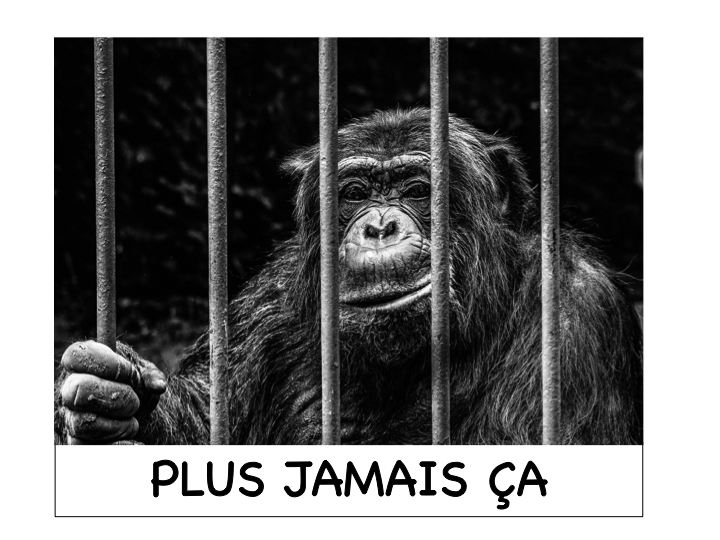 défense_des-animaux