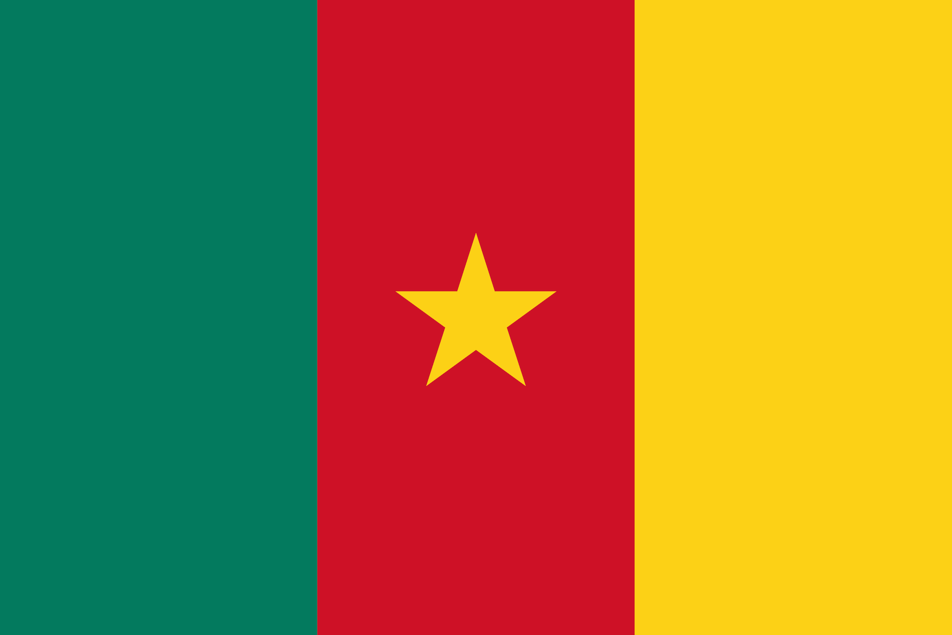 country flag - Cameroon / Cameroon