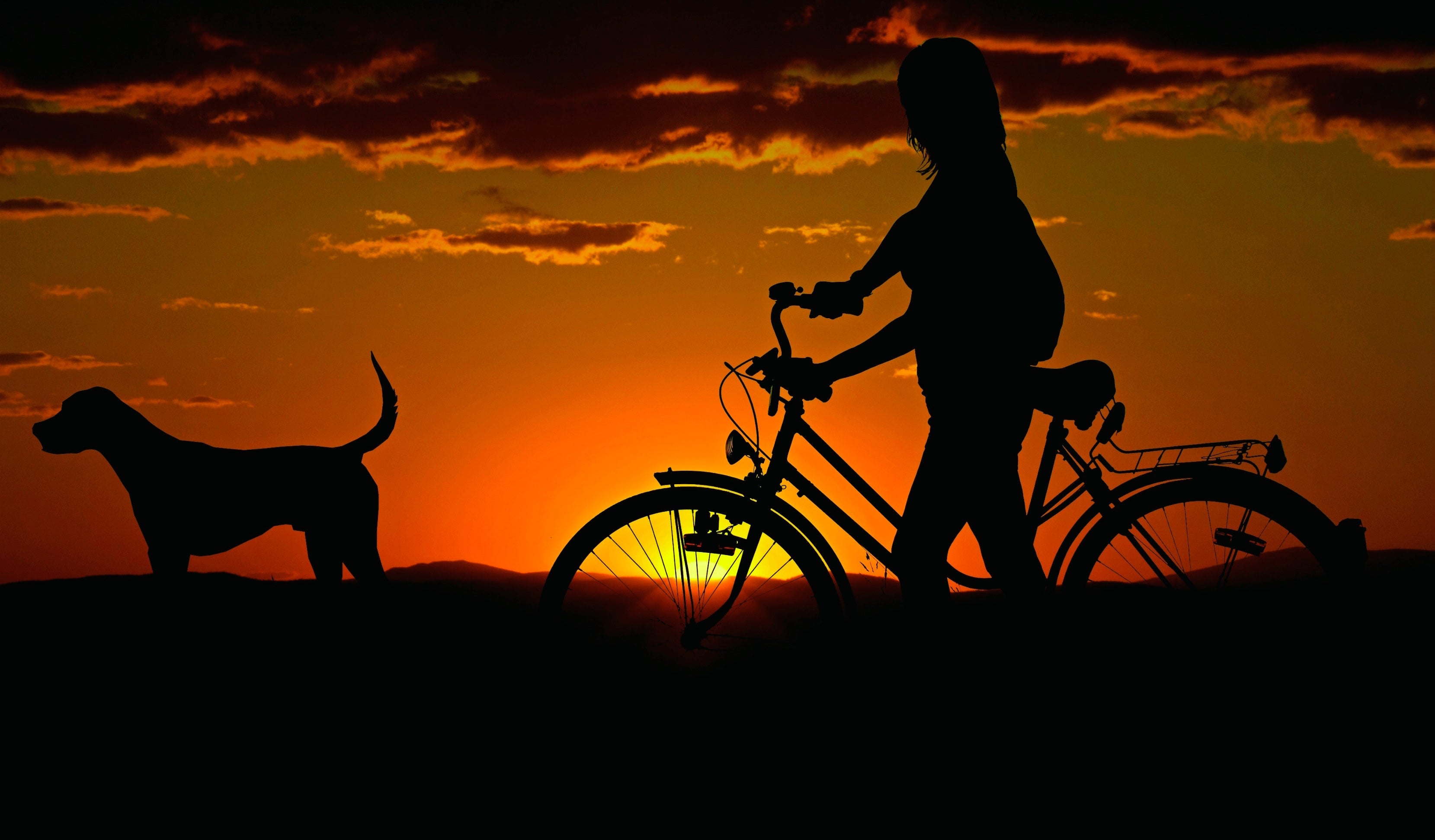 Tiere - Haustiere / Hundewelpen