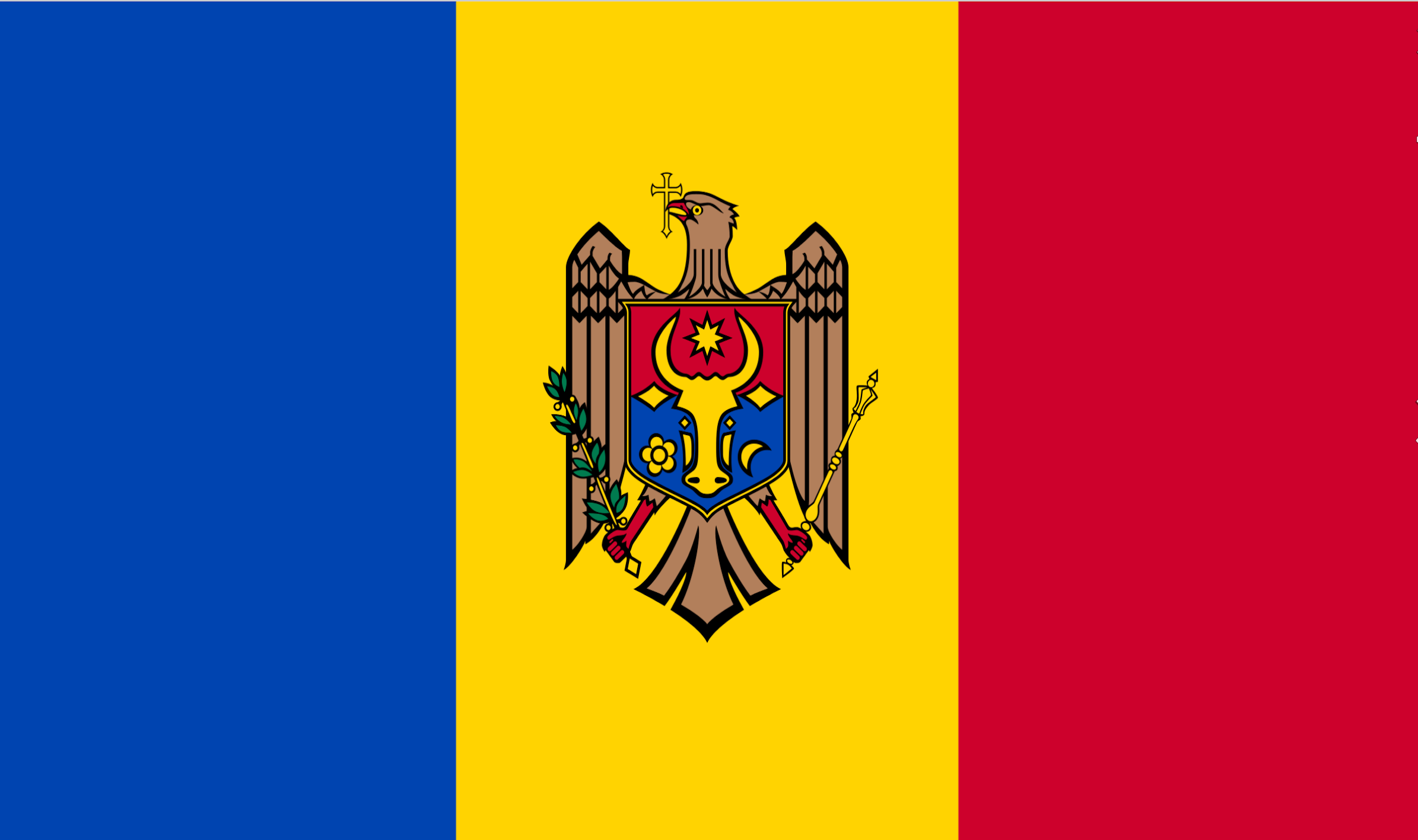 country flag - Moldova / Moldova