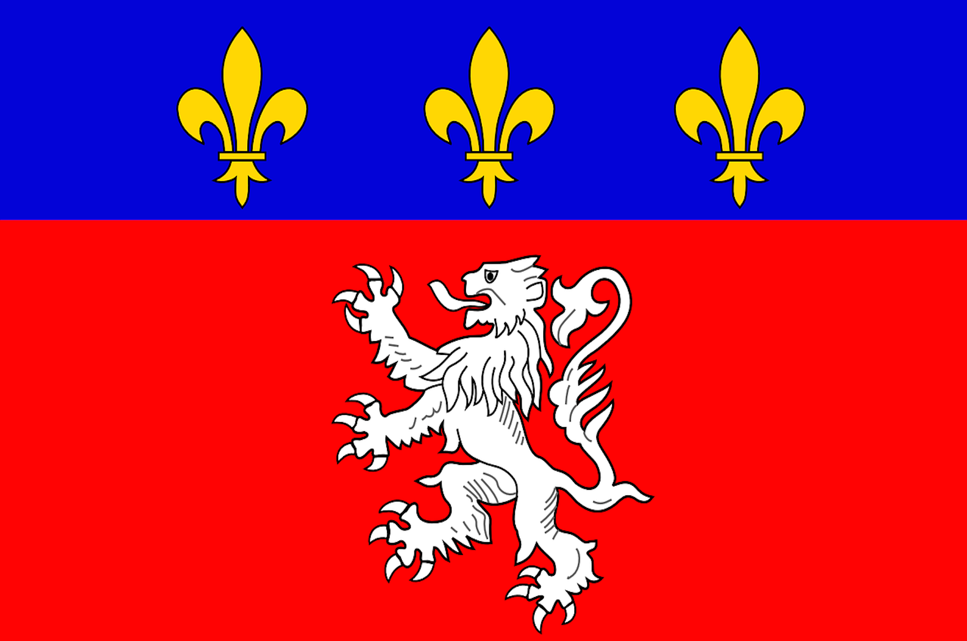 drapeau ville - France/Frankreich/Francia - Lyon