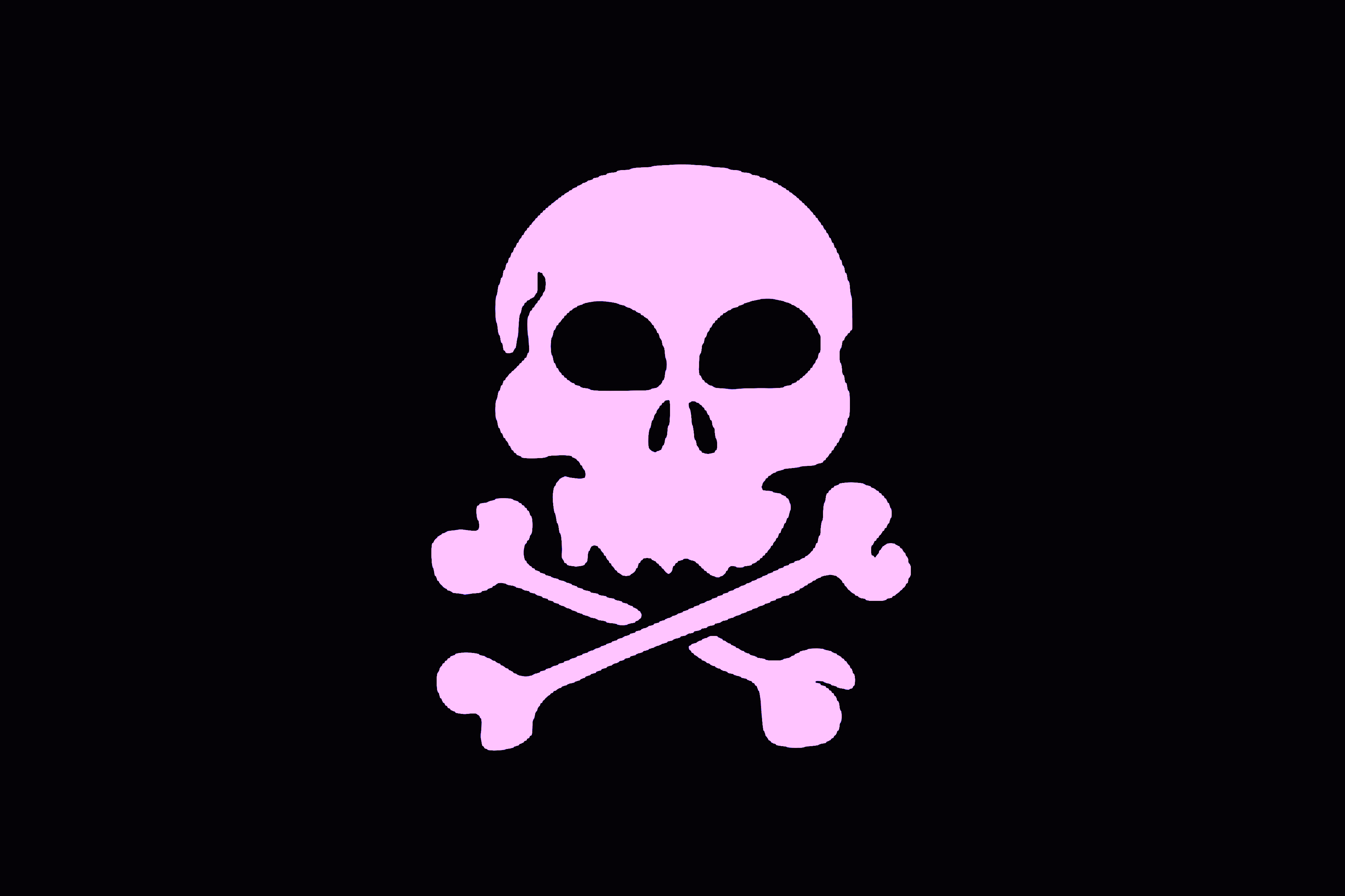 pirate flag 