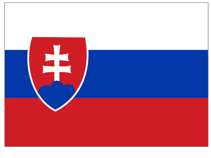 country flag - Slovakia / Slovensko